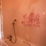 Bed & Breakfast Chateau Du Plessis - Anjou La Jaille-Yvon