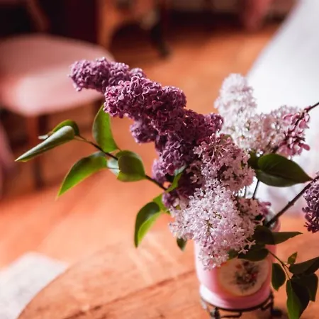 Bed & Breakfast Chateau Du Plessis - Anjou 3*