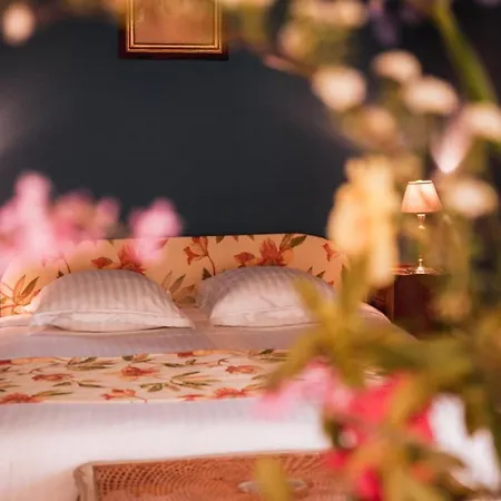 Chateau Du Plessis - Anjou La Jaille-Yvon