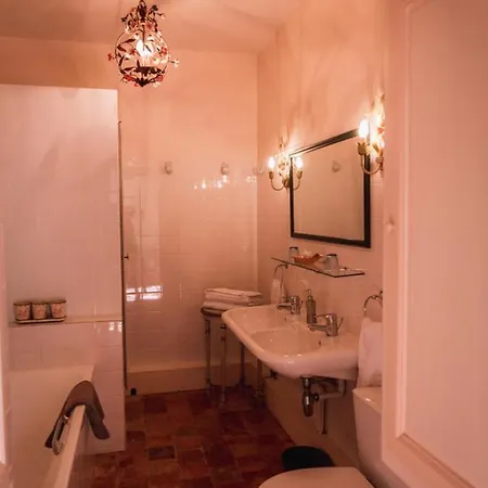 Chateau Du Plessis - Anjou Bed & Breakfast