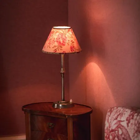 Chateau Du Plessis - Anjou Bed & Breakfast La Jaille-Yvon