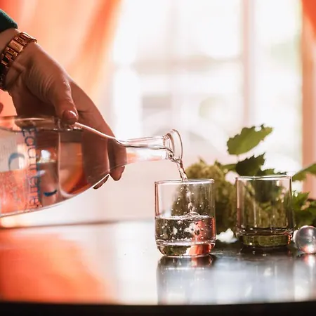 Bed & Breakfast Chateau Du Plessis - Anjou La Jaille-Yvon