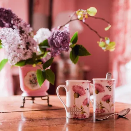 Bed & Breakfast Chateau Du Plessis - Anjou