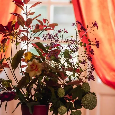 Chateau Du Plessis - Anjou Bed & Breakfast 3*