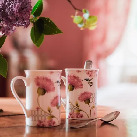 Chateau Du Plessis - Anjou