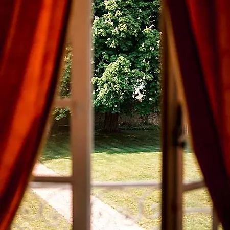 Chateau Du Plessis - Anjou Bed & Breakfast