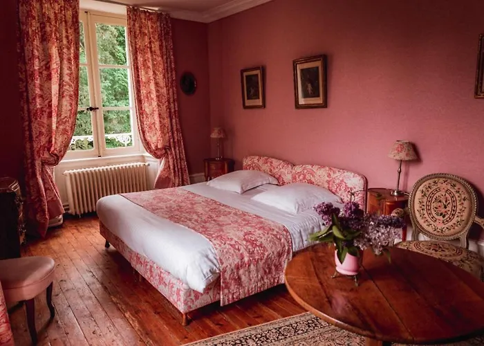 Chateau Du Plessis - Anjou 3*