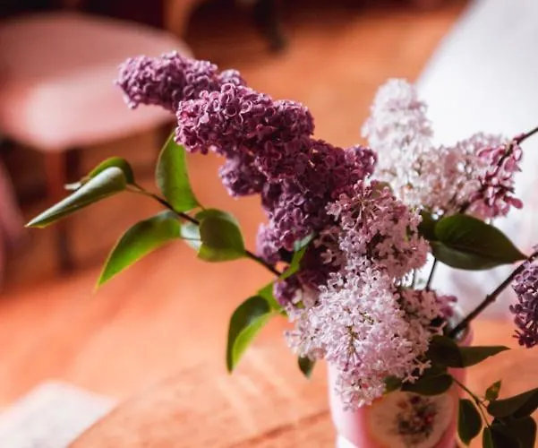 Bed & Breakfast Chateau Du Plessis - Anjou 3*