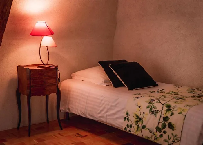 Bed and Breakfast Chateau Du Plessis - Anjou