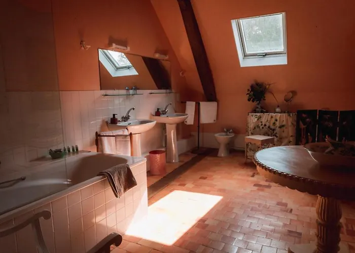 Bed & Breakfast Chateau Du Plessis - Anjou