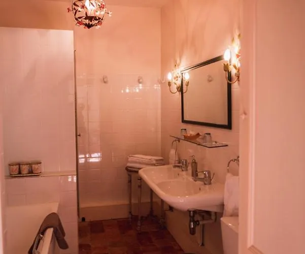 Chateau Du Plessis - Anjou Bed & Breakfast