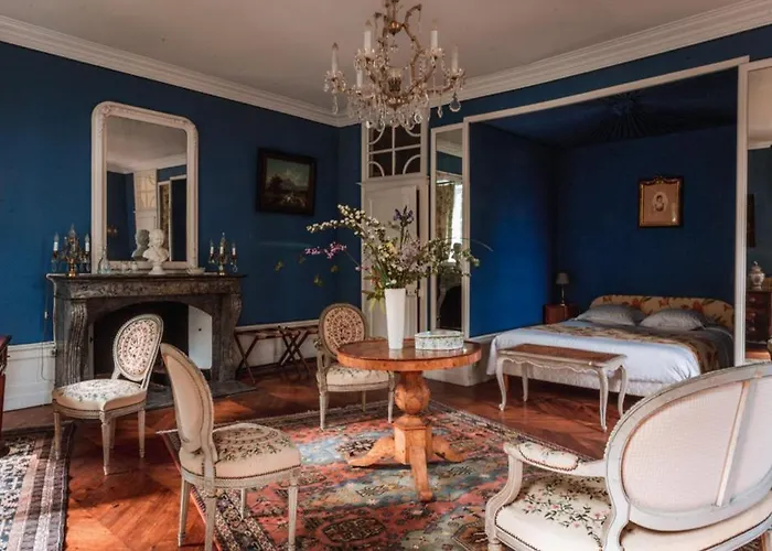 Chateau Du Plessis - Anjou 3*