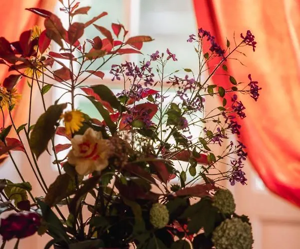 Chateau Du Plessis - Anjou Bed & Breakfast 3*