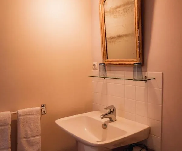 Chateau Du Plessis - Anjou Bed & Breakfast La Jaille-Yvon