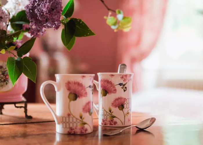 Chateau Du Plessis - Anjou