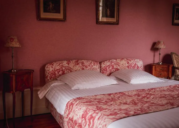 Chateau Du Plessis - Anjou Bed & Breakfast 3*