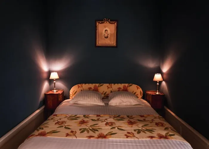 Bed & Breakfast Chateau Du Plessis - Anjou