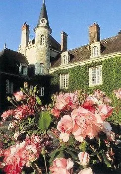 Chateau Du Plessis - Anjou Bed & Breakfast La Jaille-Yvon