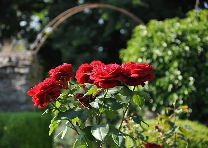 Chateau Du Plessis - Anjou Bed & Breakfast La Jaille-Yvon